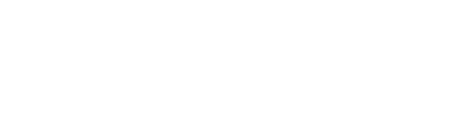 Belrise Industries logo